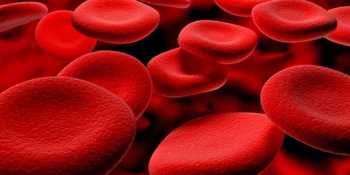 Всесвітній день боротьби з гемофілією